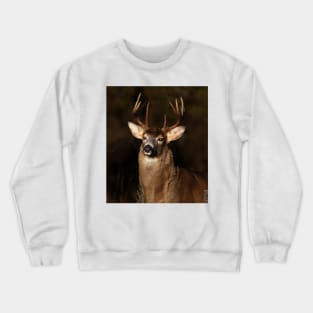 I am 'King' of this forest! - White-tailed Deer Crewneck Sweatshirt